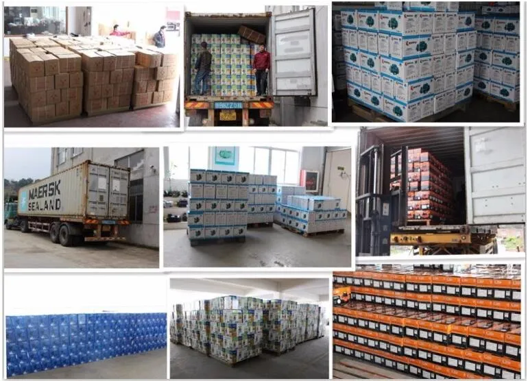 ISG, IRG, IHG ISGB Vertical Single-Stage Single-Suction Centrifugal Pump