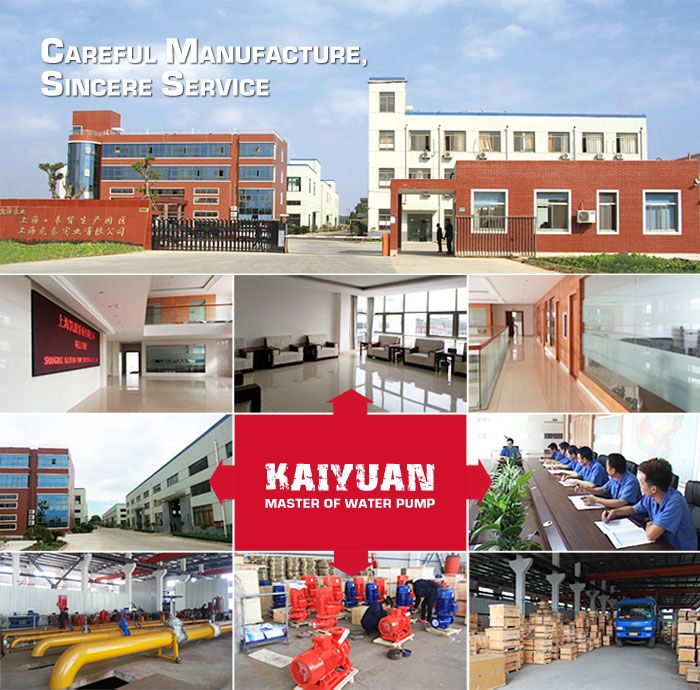 Kysb Double Suction Water Pump