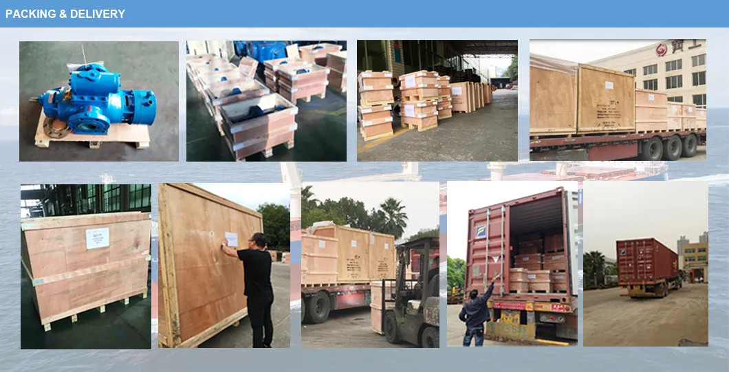 Marine Twin Screw Type Positive Displacement Cargo Oil Pump for Oil Tanker with CCS