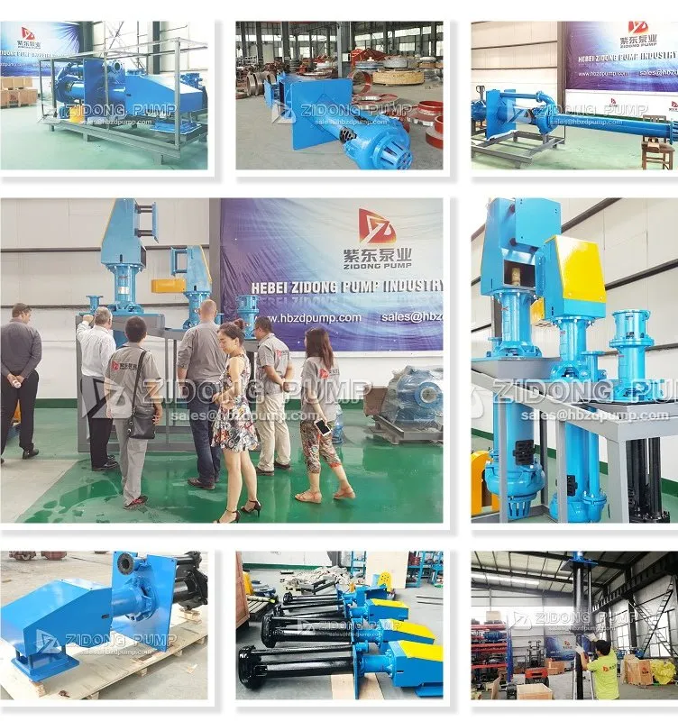 No Shaft Seal Vertical Centrifugal Sump Spindle Slurry Pump for Pit Pond Pool Discharge
