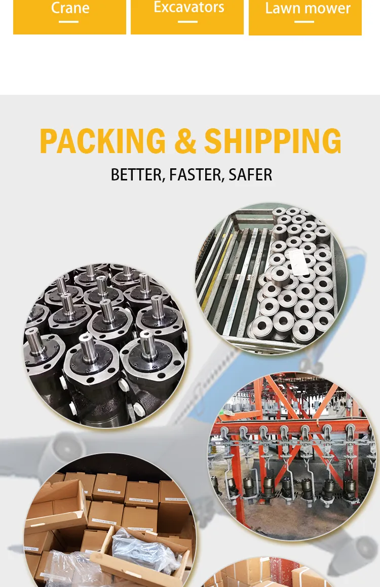 Oms200 Oms250 Oms315 Oms400 Mini Piston Hydraulic Motor for Drilling Rig