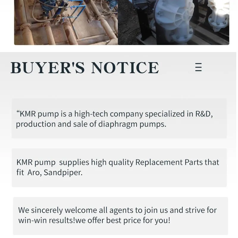 Pneumatic Air Operated Sump Pump