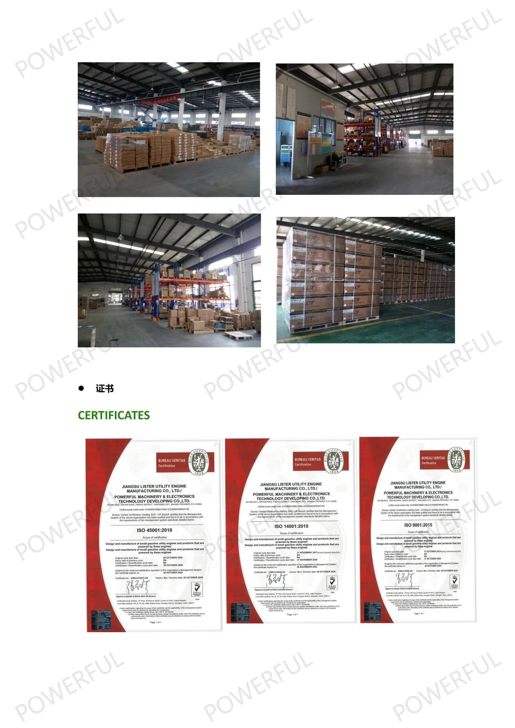 Powerful HP20A 4.2kw 2 Inch Recoil Start Gasoline Engine Water Pump