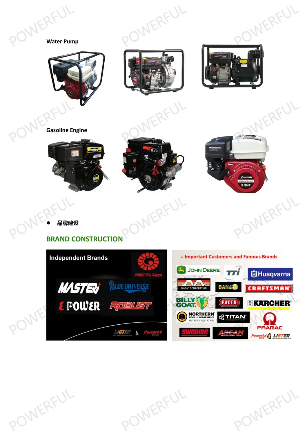 Powerful HP20A 4.2kw 2 Inch Recoil Start Gasoline Engine Water Pump