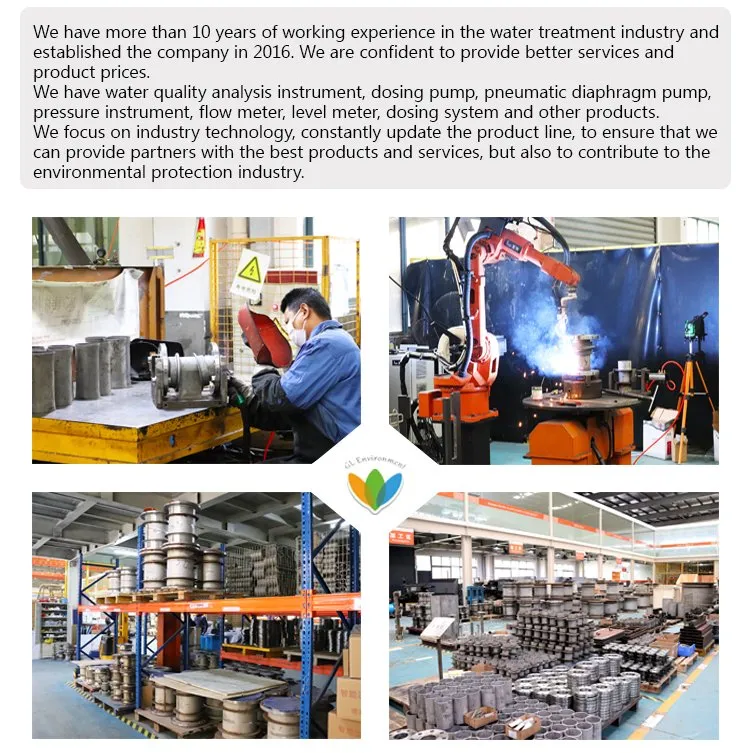 Prominent Electromagnetic Diaphragm Metering Pump