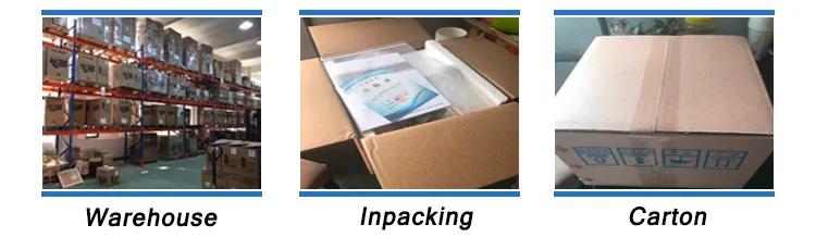 Prominent Electromagnetic Diaphragm Metering Pump