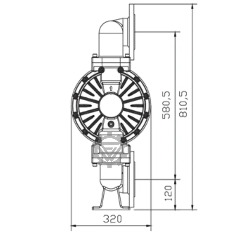 PTFE Stainless Steel Alloy Pneumatic Diaphragm Pump Industrial Chemical Resistant Water Diaphragm Pumps