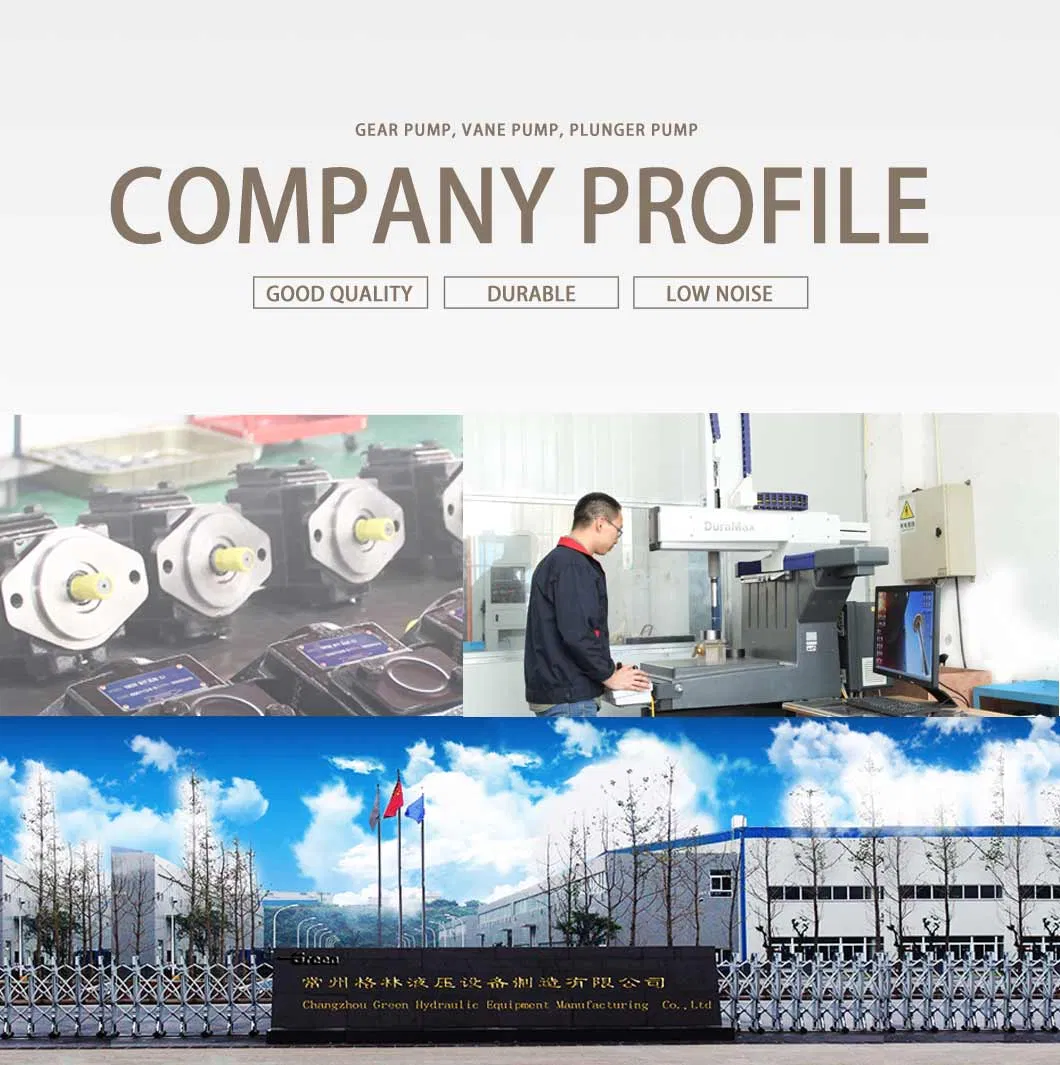 Rexroth A2f Series Axial Hydraulic Piston Pumps 100% Equivalent and Interchangeable with Original