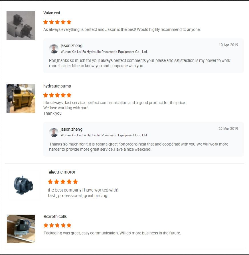 Rexroth A4vg40 A4vg56 A4vg71 A4vg90 A4vg125 A4vg180 A4vg250 Hydraulic Piston Pump A4vg125-Hwd1/32r-NSF52f001f-S