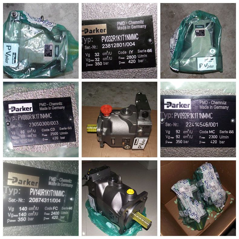 Rexroth A4vg40 A4vg56 A4vg71 A4vg90 A4vg125 A4vg180 A4vg250 Hydraulic Piston Pump A4vg125-Hwd1/32r-NSF52f001f-S