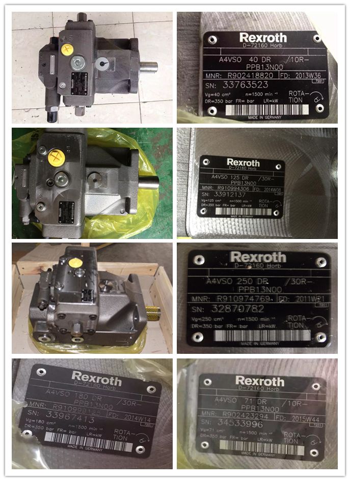 Rexroth A4vg40 A4vg56 A4vg71 A4vg90 A4vg125 A4vg180 A4vg250 Hydraulic Piston Pump A4vg125-Hwd1/32r-NSF52f001f-S
