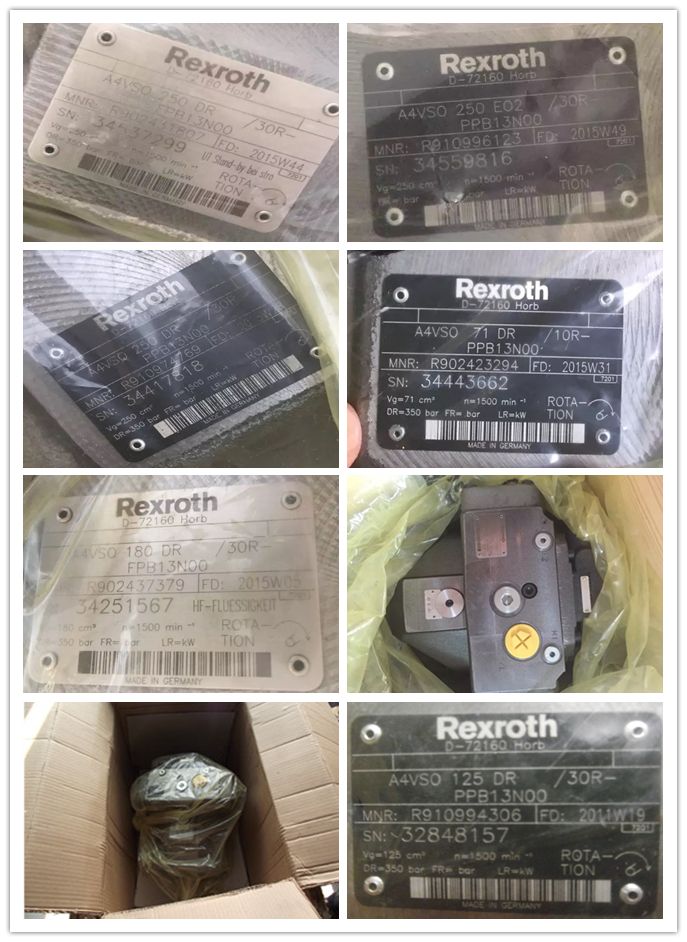 Rexroth A4vg40 A4vg56 A4vg71 A4vg90 A4vg125 A4vg180 A4vg250 Hydraulic Piston Pump A4vg125-Hwd1/32r-NSF52f001f-S