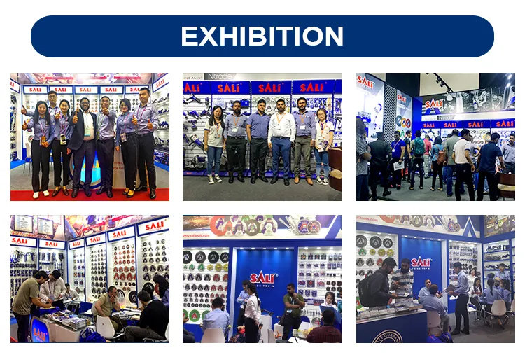 Sali 1WZB-35 370W 0.5HP 1*1inch Self-Priming Peripheral Pump