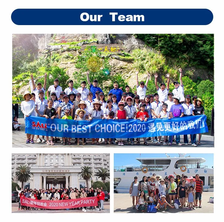 Sali 1WZB-35 370W 0.5HP 1*1inch Self-Priming Peripheral Pump