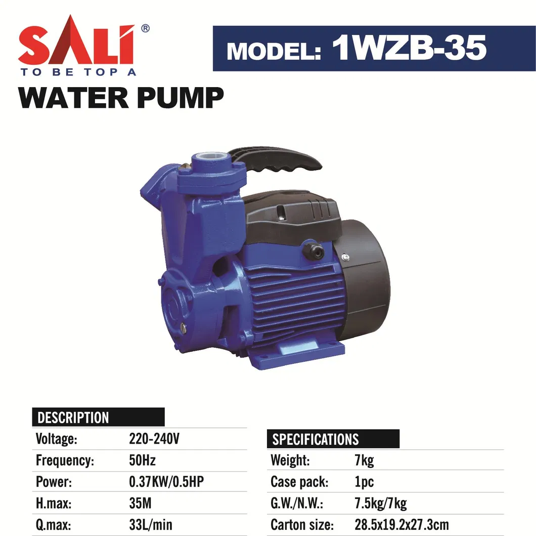 Sali 1WZB-35 370W 0.5HP 1*1inch Self-Priming Peripheral Pump