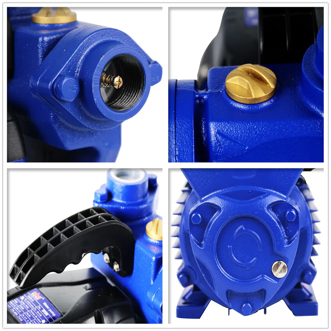 Sali 1WZB-35 370W 0.5HP 1*1inch Self-Priming Peripheral Pump