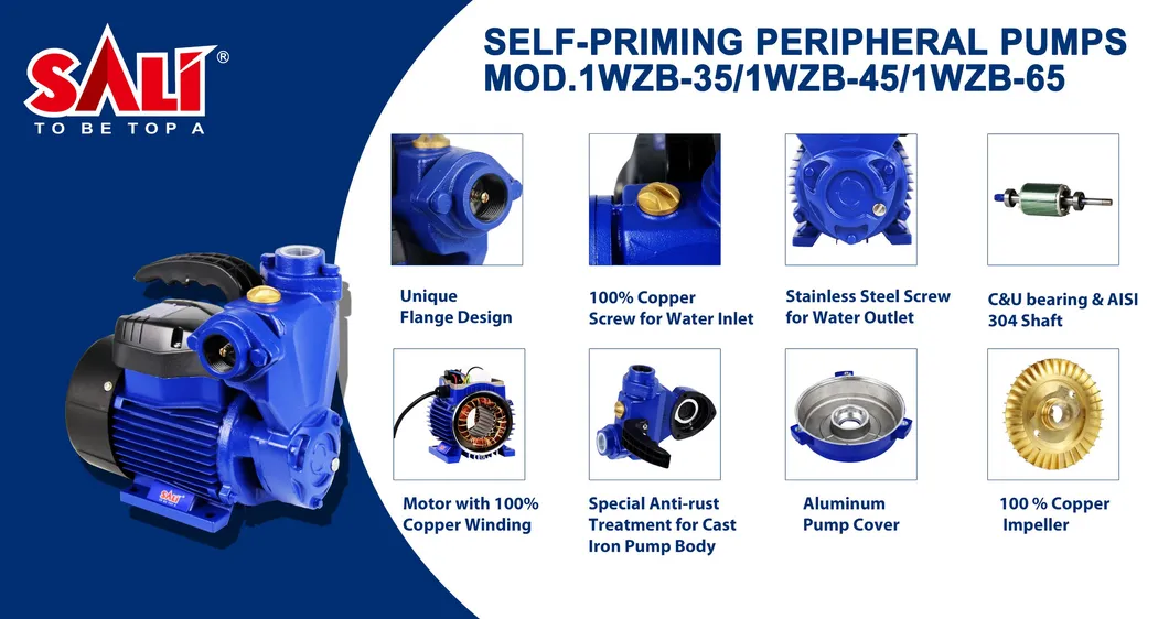 Sali 1WZB-35 370W 0.5HP 1*1inch Self-Priming Peripheral Pump