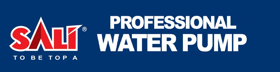 Sali 1WZB-35 370W 0.5HP 1*1inch Self-Priming Peripheral Pump