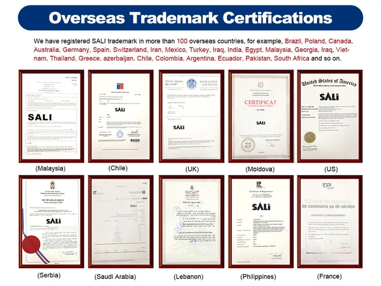 Sali 1WZB-35 370W 0.5HP 1*1inch Self-Priming Peripheral Pump