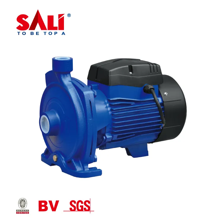 Sali 1wzb-65 0.75kw/1HP 50m 50L/Min Sali Proffessional Water Pump
