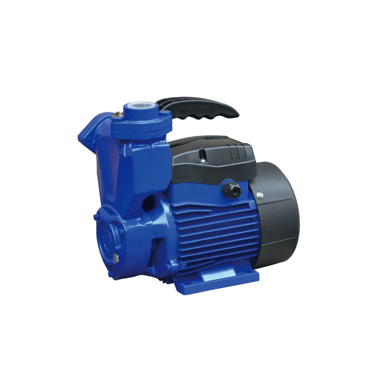 Sali 1wzb-65 0.75kw/1HP 50m 50L/Min Sali Proffessional Water Pump