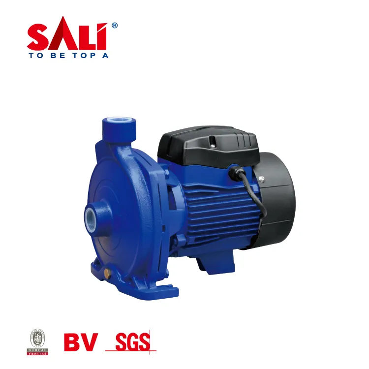 Sali 1wzb-65 0.75kw/1HP 50m 50L/Min Sali Proffessional Water Pump