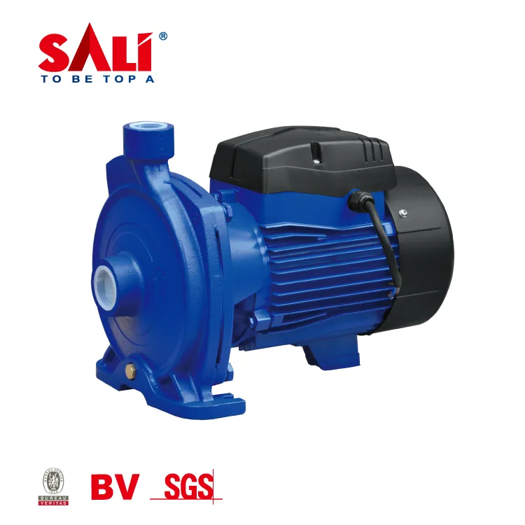 Sali 1wzb-65 0.75kw/1HP 50m 50L/Min Sali Proffessional Water Pump