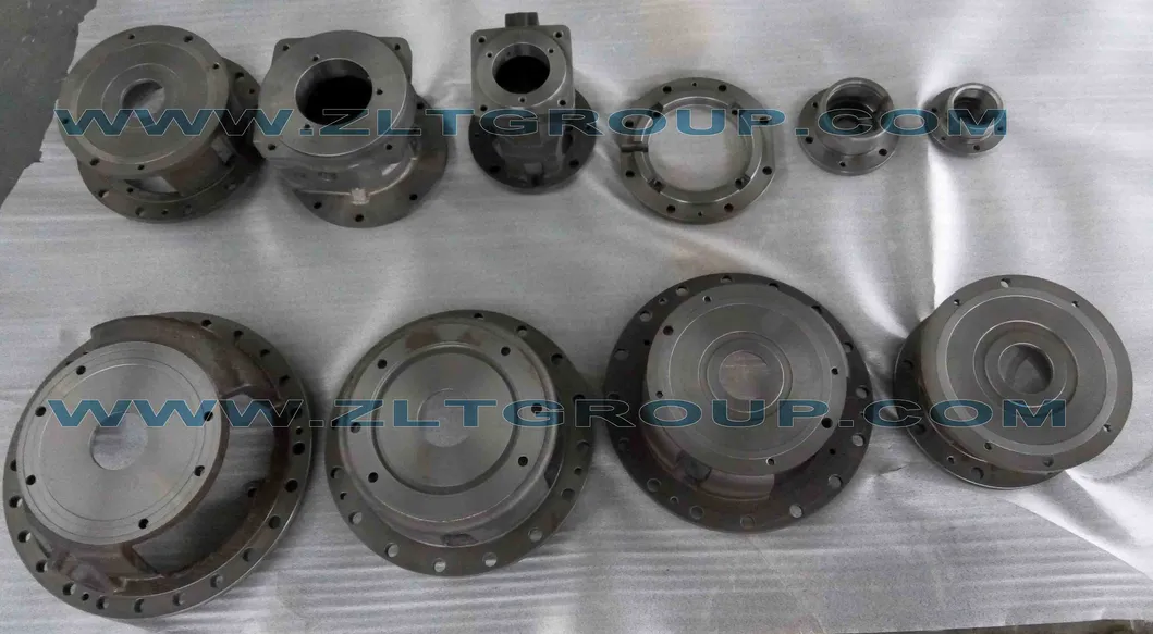 Sand Casting ANSI Chemical Process Zlt 196 Bearing Housing with Any Sizes in Dci Material