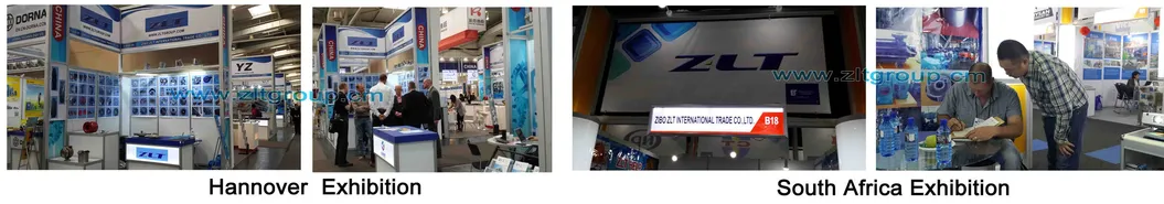 Sand Casting ANSI Chemical Process Zlt 196 Bearing Housing with Any Sizes in Dci Material