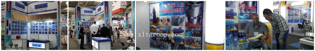 Sand Casting ANSI Zlt 196 Pump Body in Carbon Steel/Carbon Steel