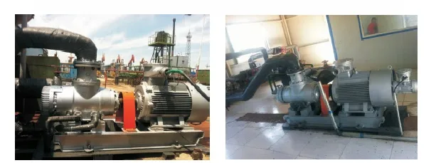 Screw Pump for Liquid (2W. W)