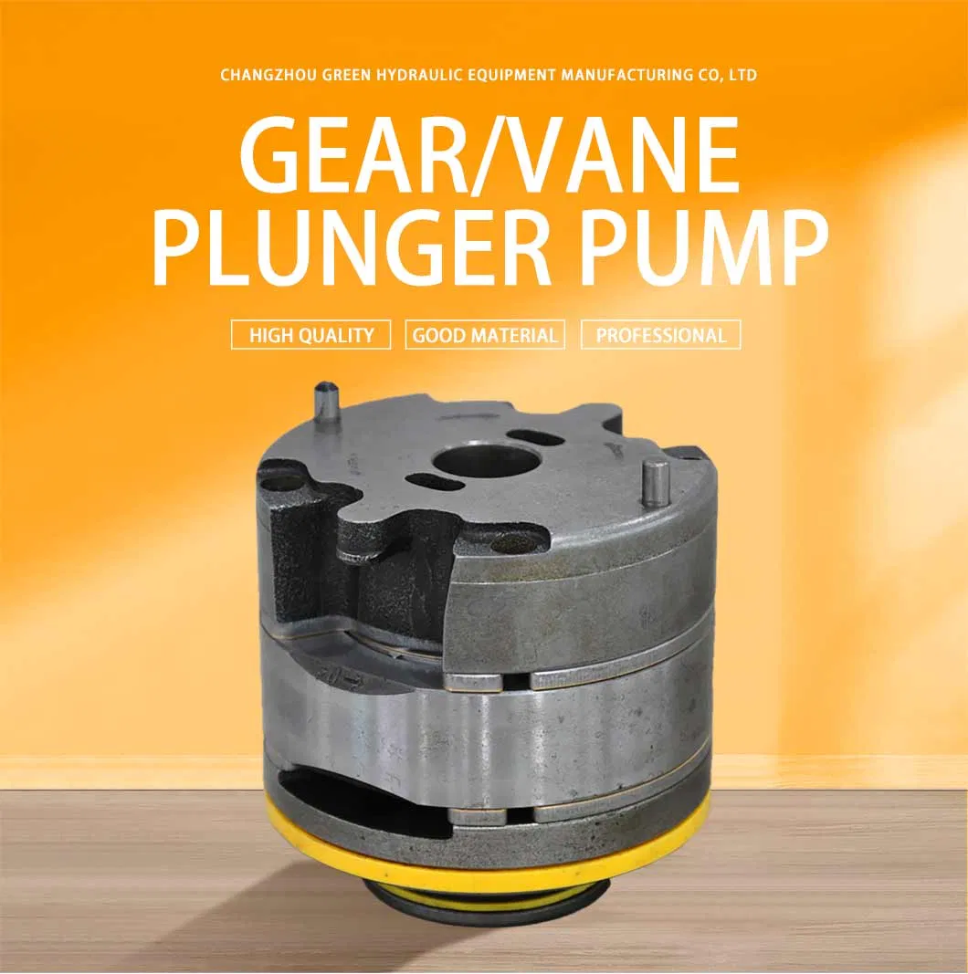 Shanghai Hydraulic Gear Pump Multiple Pumps Bulldozer
