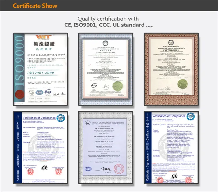 Single-Stage 1HP Submersible Clean Water Pump with Float