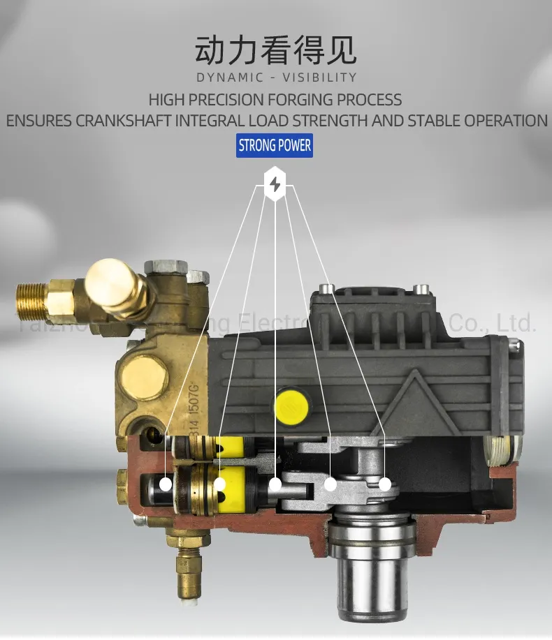 Sjfd-1814 High Quality 250 Bar High Pressure Plunger Pump for Vehicle Cleaning