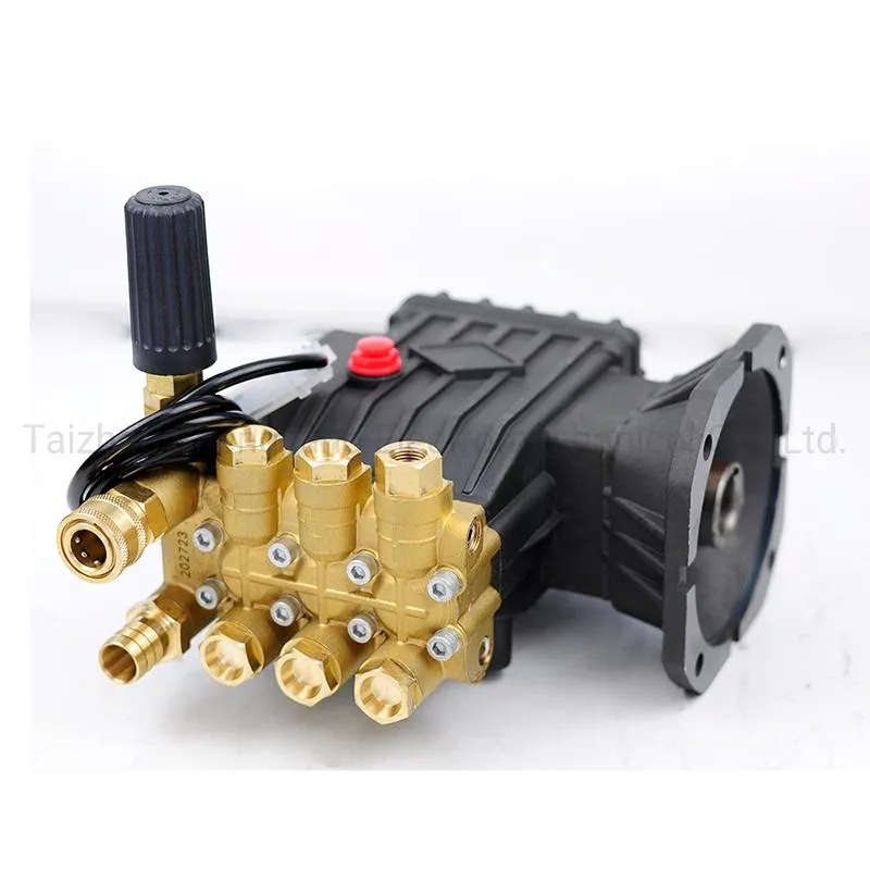 Sjxfg-1814 Auto Convenience Plunger Pump for Fog Making