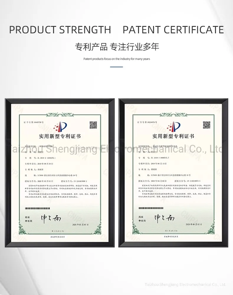 Sjzg-1814 Auto Cut-off High Pressure Water Pump for Cleaning Washer