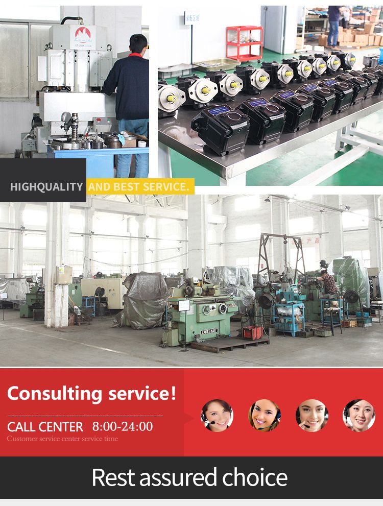 Spare Parts Yuken PV2r24A PV2r34A PV2r12 PV2r13 PV2r23 Hydraulic Vane Pump