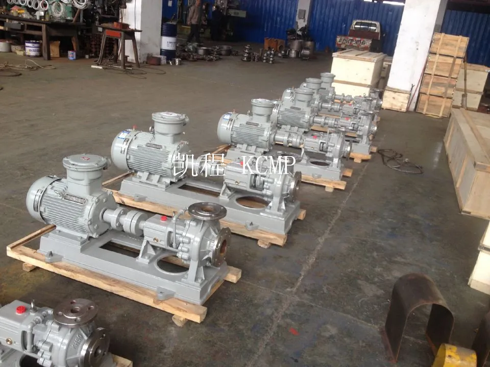 SS316L Power Station Chemical Pump