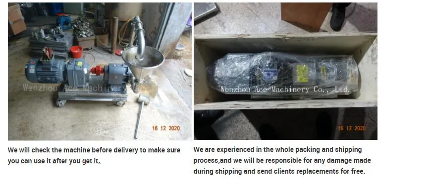 Stainless Rotary Pump SS316L Food Grade Tri-Lobe Rotary Lobe Pump High Pressure for Food Chocolate