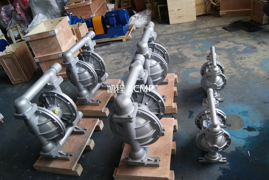 Stainless Steel Double Diaphragm Pump