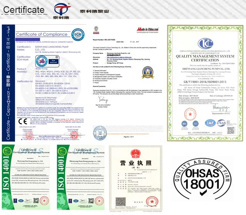 Stainless Steel High Quality Hot Thermal Oil Pump