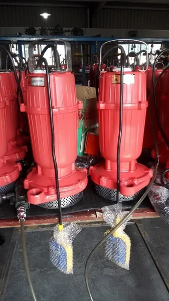 Submersible Pump for Clean Water Qdx3-35-1.1