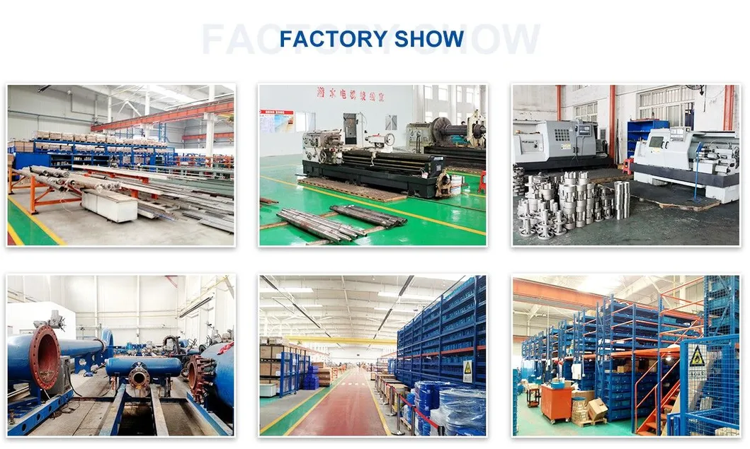 Submersible Sewage Water Pumps for River