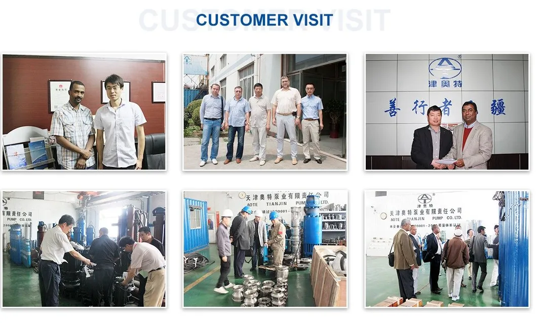 Submersible Sewage Water Pumps for River