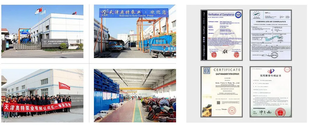 Submersible Sewage Water Pumps for River