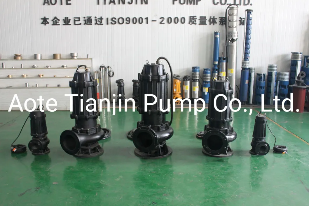Submersible Sewage Water Pumps for River