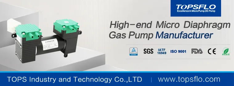 Topsflo Double Head Brushless Mini Air Pump Vacuum Pump