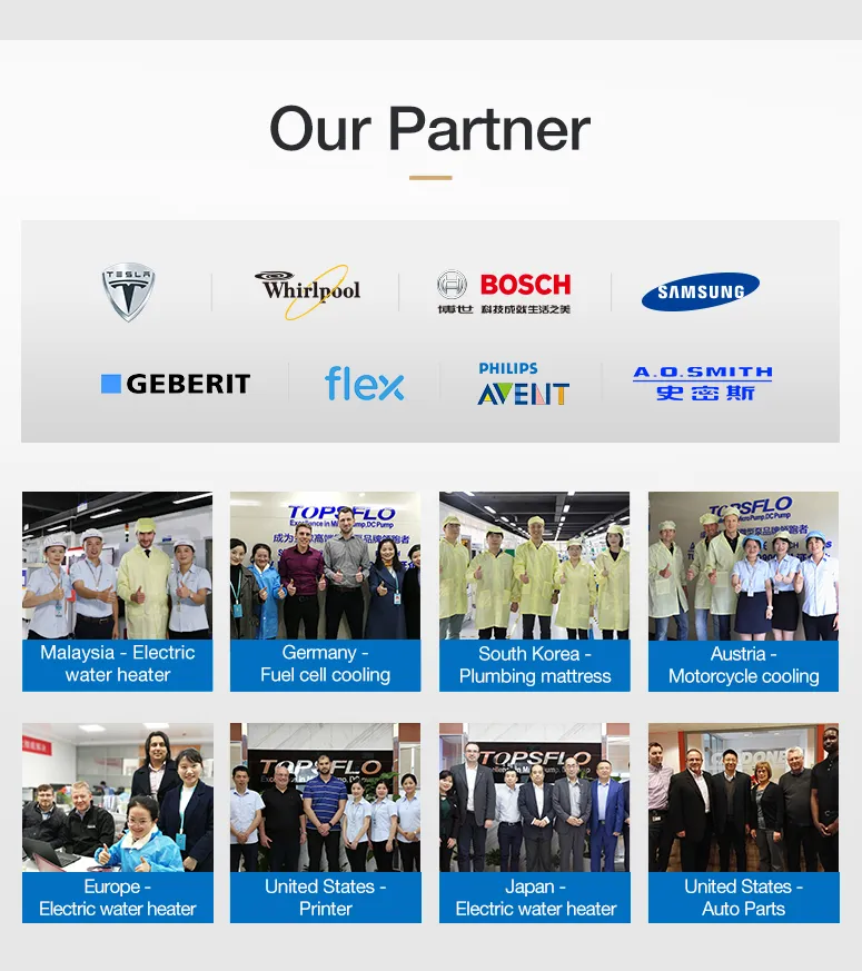 Topsflo Low Noise High Performance Brush Moto Air Mini Vacuum Pump