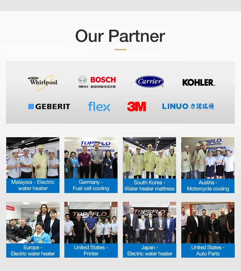 Topsflo Stainless Steel Hot Water Circulation Pump/Beer Brewing Pump