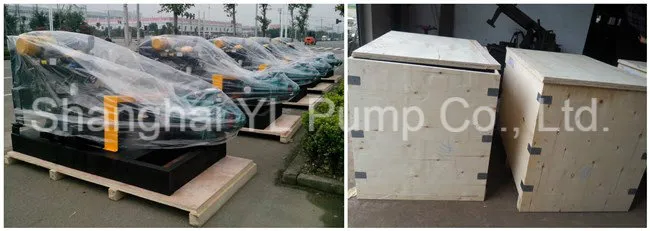 Transfer Corrosion Liquid Multistage Centrifugal Pump for Chemical Industry